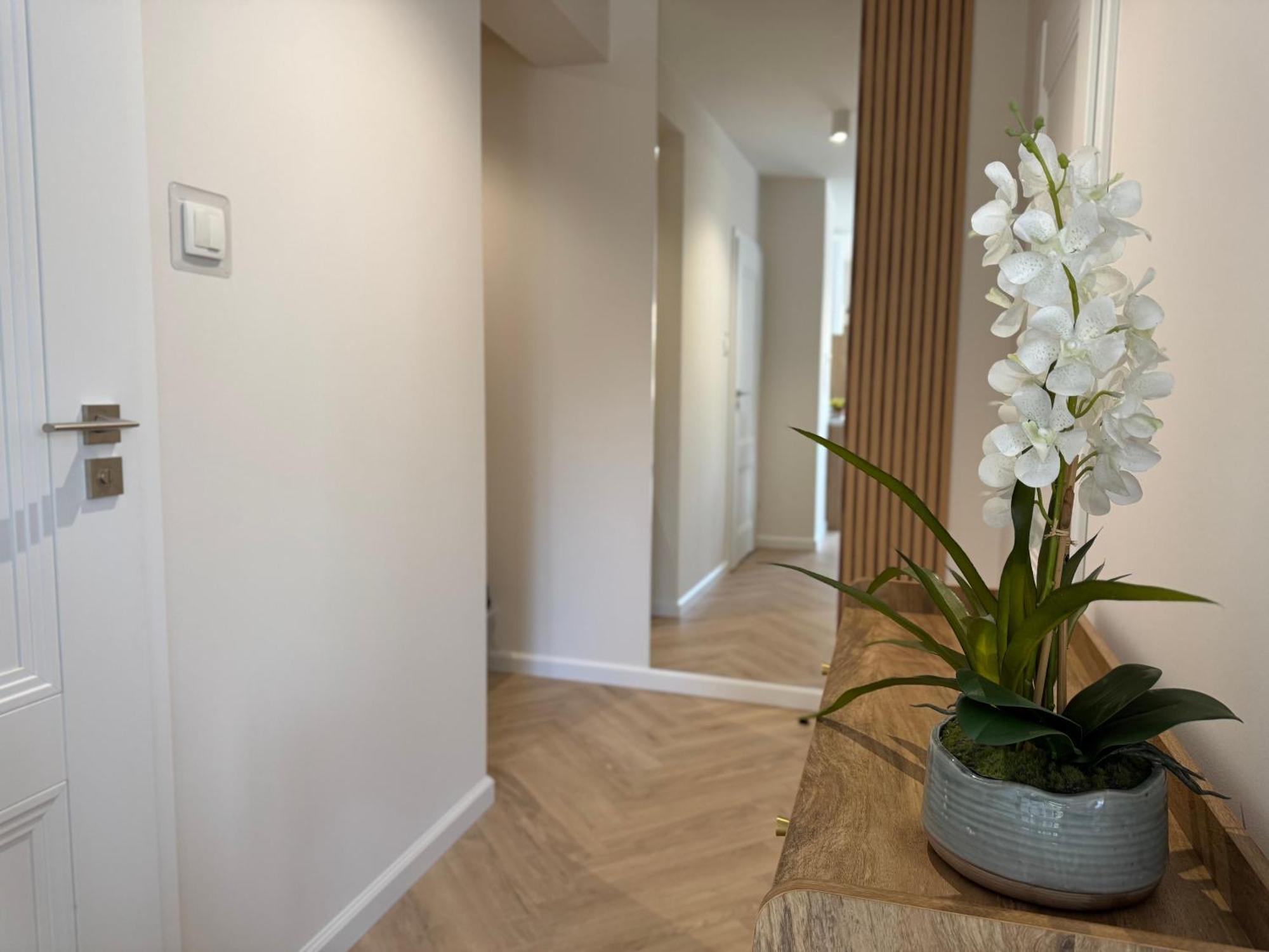 Apartamenty Baltica -Zielone Tarasy Колобжег Екстер'єр фото